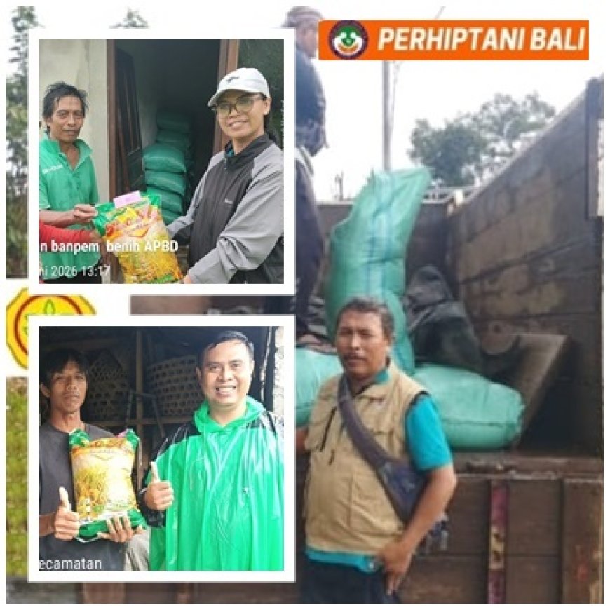Diterjang Hujan, Penyuluh Gianyar Pastikan Bantuan Sampai ke Tangan Petani