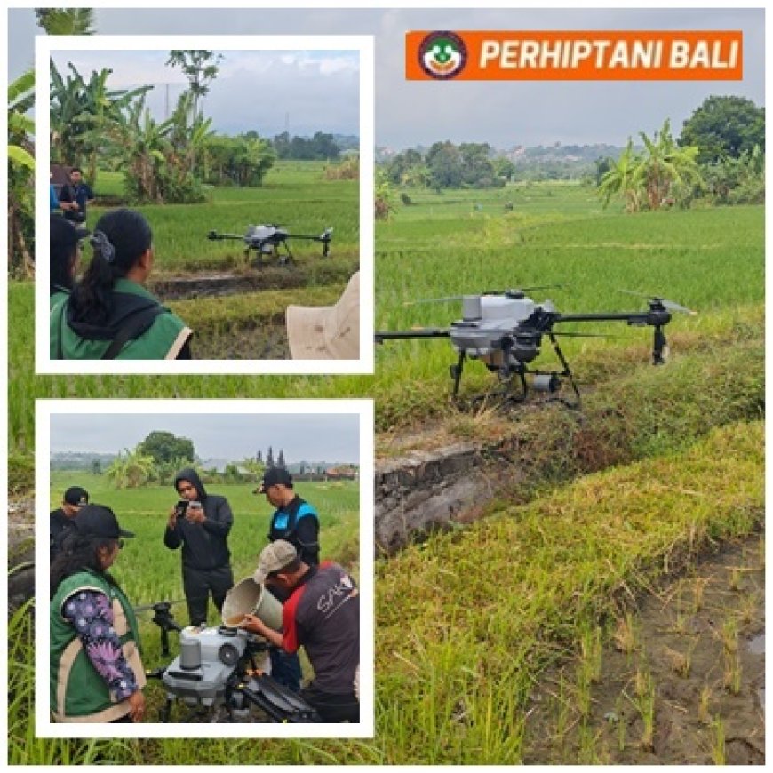 Penyuluh Semai Embrio Smart Farming