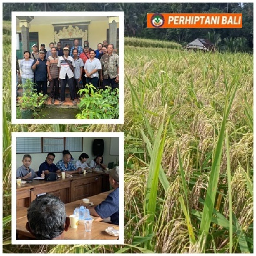 PERHIPTANI Bali dan Yayasan Sashi Cetak Sejarah, Pekaseh Catur Angga Batukaru Berbadan Hukum