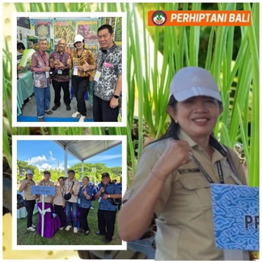 Berburu Inovasi, Penyuluh Denpasar Kepincut Tabela Bawang Merah
