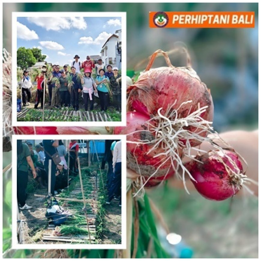 Penyuluh Tanam Inovasi, Petani Petik Hasil