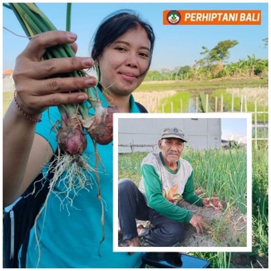 Rully, Jembatan Inovasi bagi Petani Usia Senja