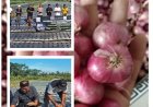 BUMDes “Suntik” Raja Prani Binaan Penyuluh Blahbatuh, Bidik Pasokan dan Jinakkan Inflasi