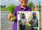 Ririn, Nakhodai Bidang Penyuluhan, Dekat dengan Petani dan Penyuluh