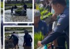 Penyuluh Pacu Tanam Modern Lewat Rice Transplanter