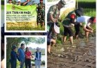 Penyuluh Pacu Padi Organik, Guwang Bidik Sentra Pertanian Hijau