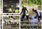 PERHIPTANI 39 Tahun, Penyuluh Tebar Inovasi dari Sawah