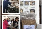 Penyuluh Pacu Inovasi Pakan dari Limbah Talas