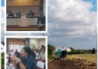 Rakor Kota Denpasar: BBRMP Bali Percepat LTT, Penyuluh Kawal Perluasan Tanam