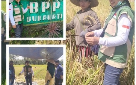 Menjaga Sawah di Tengah Gempuran Pariwisata