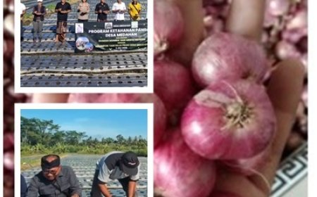 BUMDes “Suntik” Raja Prani Binaan Penyuluh Blahbatuh, Bidik Pasokan dan Jinakkan Inflasi