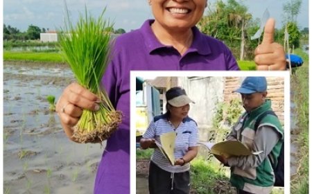 Ririn, Nakhodai Bidang Penyuluhan, Dekat dengan Petani dan Penyuluh