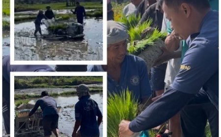 Penyuluh Pacu Tanam Modern Lewat Rice Transplanter