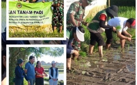 Penyuluh Pacu Padi Organik, Guwang Bidik Sentra Pertanian Hijau