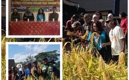 Penyuluh Jadi Kunci, Somya Pertiwi Dipelajari Bappenas, Kemenko Pangan, dan FAO