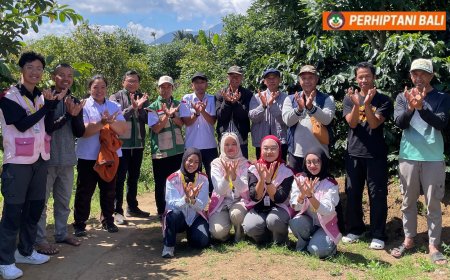 Penyuluh Jadi Mentor, Mahasiswa UGM Belajar Langsung di Kebun Kopi