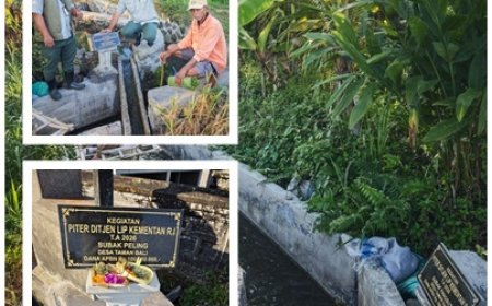 Penyuluh Bangli Kawal 25 PITER untuk Petani