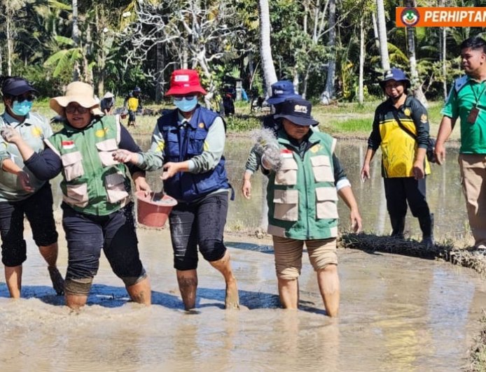 Penyuluh dan Petani Bangli Kompak Terapkan PM-AAS