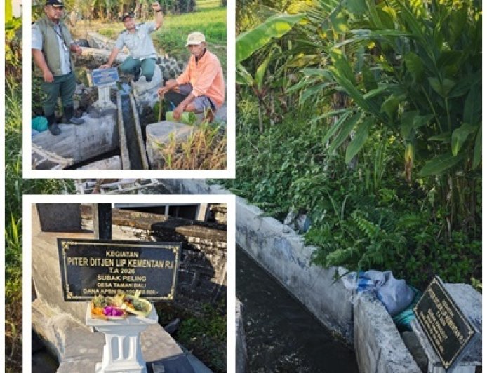 Penyuluh Bangli Kawal 25 PITER untuk Petani