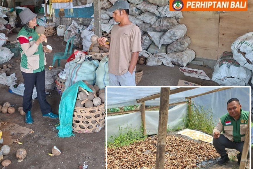 Penyuluh Gerakkan Hilirisasi Kelapa, Batok Pun Bernilai