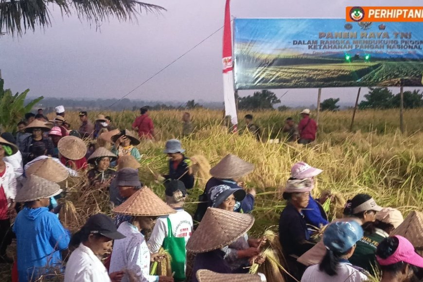 Subak Wongaya Betan Buktikan Potensi Varietas Lokal