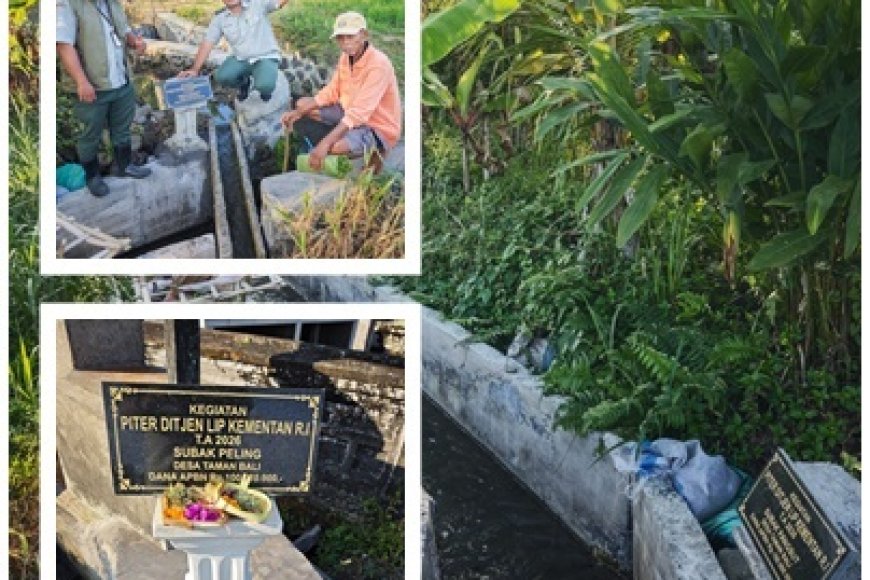 Penyuluh Bangli Kawal 25 PITER untuk Petani