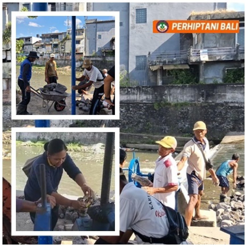 Rapor Merah LTT Denpasar, Gotong Royong Petani Hidupkan Irigasi
