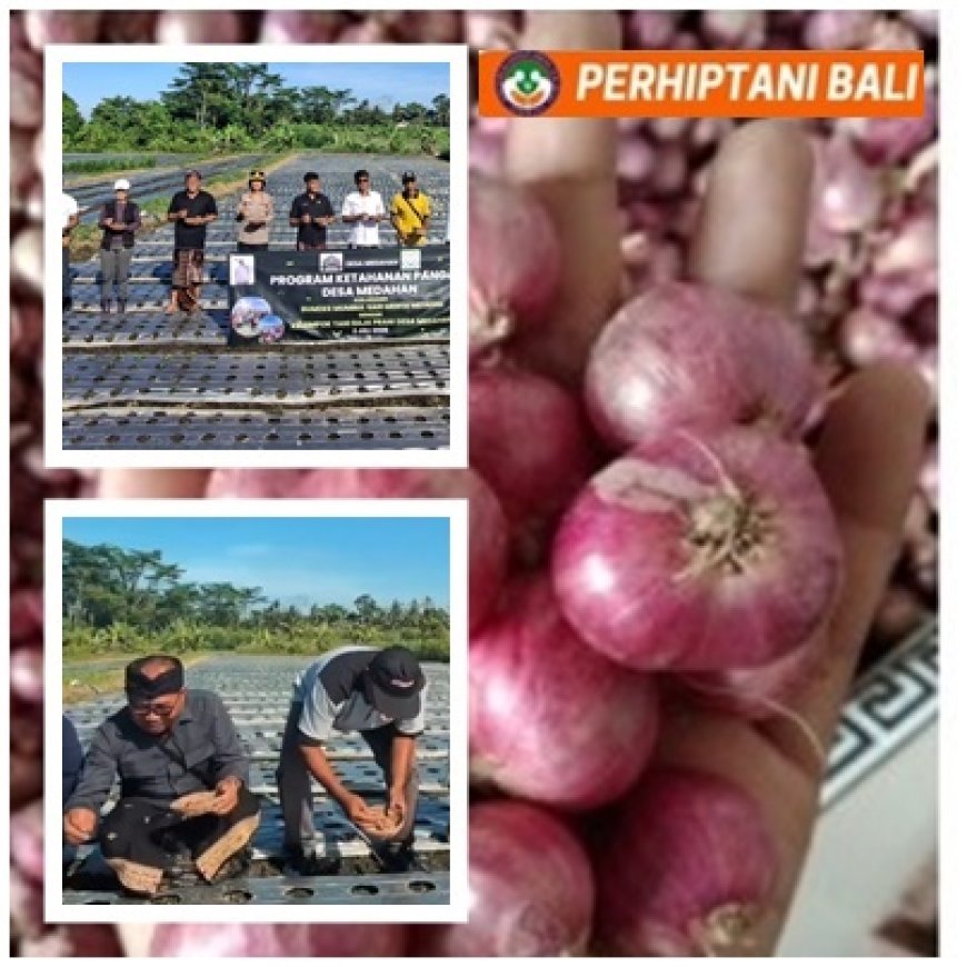 BUMDes “Suntik” Raja Prani Binaan Penyuluh Blahbatuh, Bidik Pasokan dan Jinakkan Inflasi