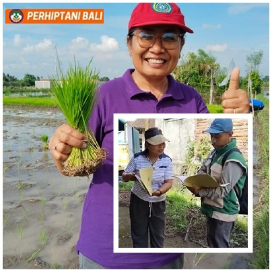 Ririn, Nakhodai Bidang Penyuluhan, Dekat dengan Petani dan Penyuluh