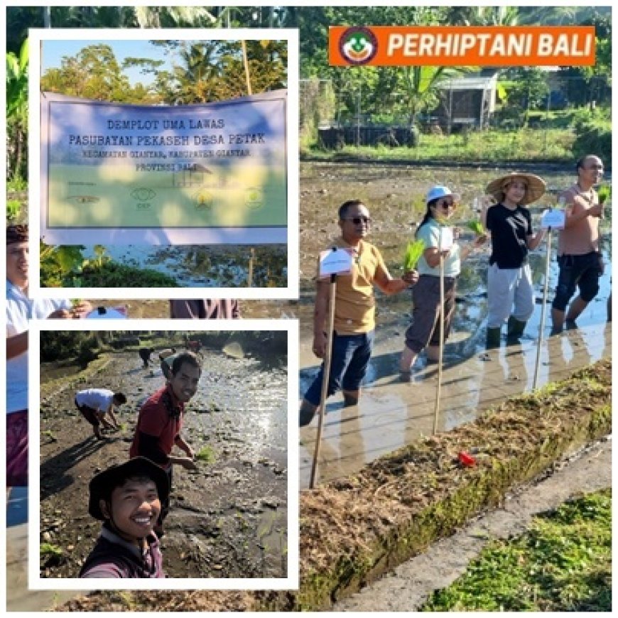 Penyuluh Kuatkan Kelembagaan Subak Lewat Pasubayan