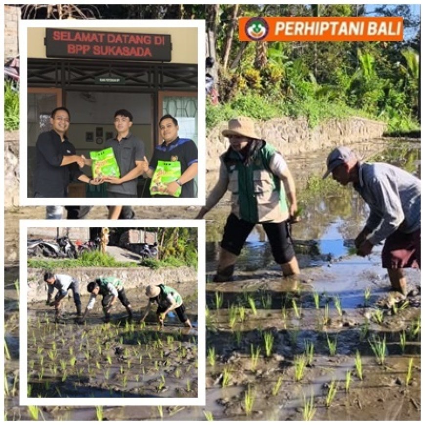 PERHIPTANI 39 Tahun, Penyuluh Tebar Inovasi dari Sawah