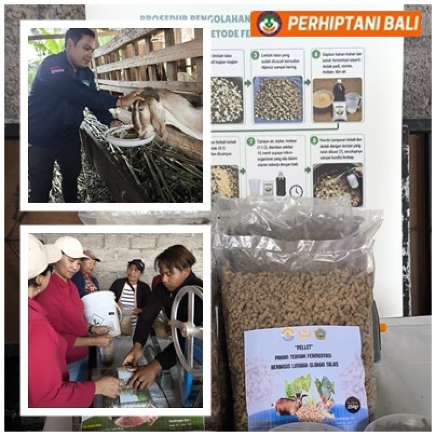 Penyuluh Pacu Inovasi Pakan dari Limbah Talas