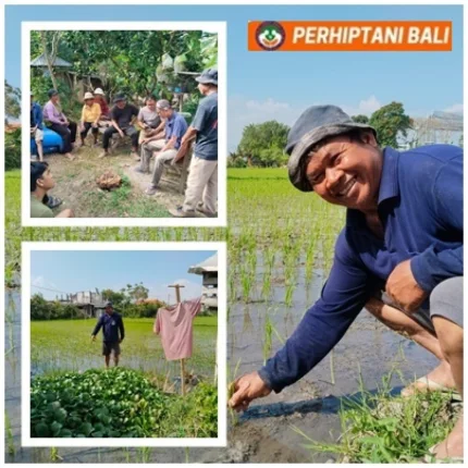 Nyoman Suparta, Merawat Warisan Andungan dengan Sentuhan Inovasi