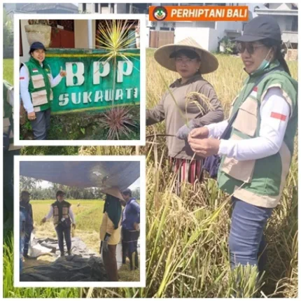 Menjaga Sawah di Tengah Gempuran Pariwisata