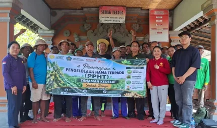 Penyuluh Kawal Petani Kedelai, PHT Jadi Jurus Jaga Panen dan Ekosistem