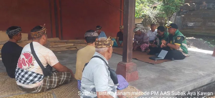 Penyuluh Bangli Bergerak Perluas PM-AAS