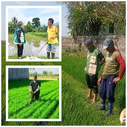 Air Terbatas, Petani Penebel Didorong Terapkan Teknologi Hemat Air