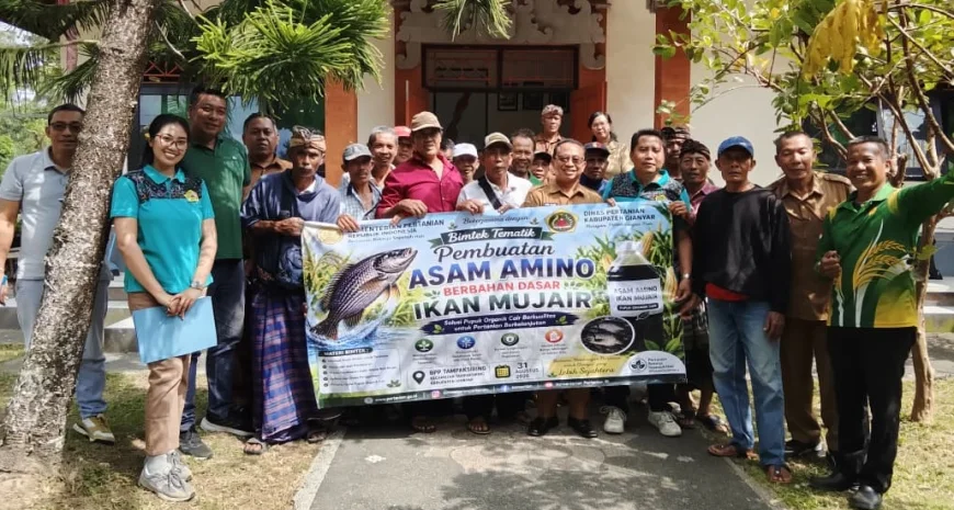 Penyuluh Bekali 20 Pekaseh, Ikan Disulap Jadi Asam Amino