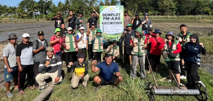 Tak Menunggu, Penyuluh Tabanan Gerakkan Demplot Swadaya