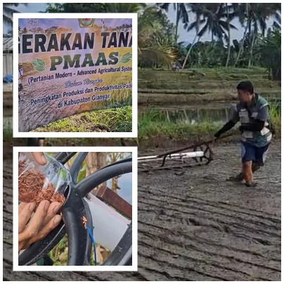 “Dari Penyuluh ke Petani, PM-AAS Mulai Mengakar di Subak Tuali”