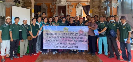 Sela Kabetan Naik Kelas, Sekolah Lapang Perkuat Kapasitas Petani Ubi Jalar