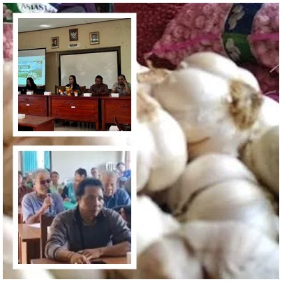 Bawang Putih Tak Sekadar Bumbu, Gianyar Perkuat Fondasi Swasembada