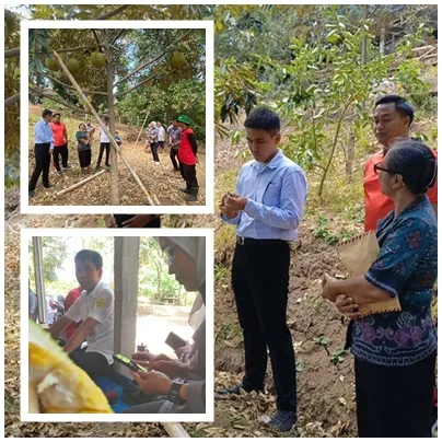 Tenaga Ahli Kementerian Turun Gunung, Cluster Durian Banjar Mulai Dipacu