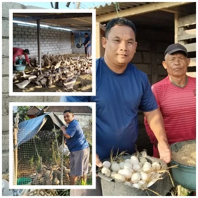 Putu Akik, Merintis Asa dari Kandang Itik