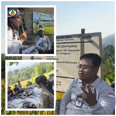 Mohammad Hanan: Inovasi Harus Berlanjut, Bukan Berhenti di Demplot