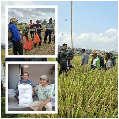 “Cakrabuana Agritan Pikat Pekaseh Kerdung”