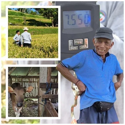 Made Anteb: Belajar Langsung dari Lahan Sendiri