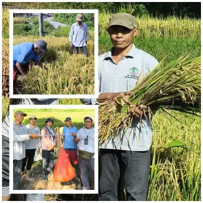 Made Sedaka: Inovasi Harus Diuji, Bukan Sekadar Dipromosikan