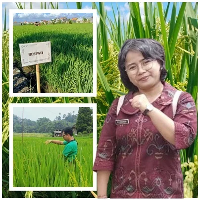 Desak Made Megandini, Tekun Mengawal Mutu Benih, Tenang Memimpin