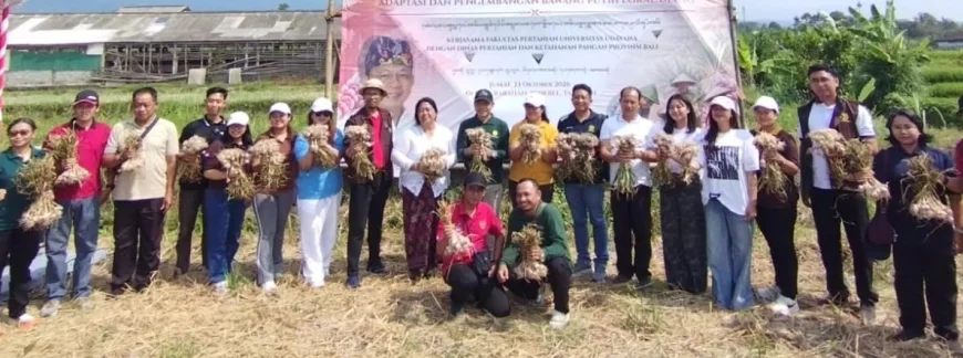 bawang putih.2jpg